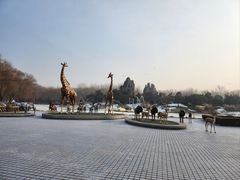 -北京野生动物园