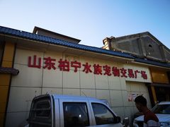 -山东柏宁水族批发广场