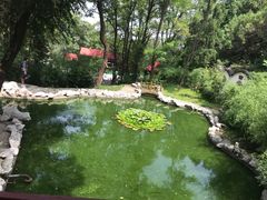 -原山国家森林公园