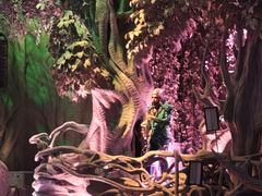 -广州长隆国际大马戏