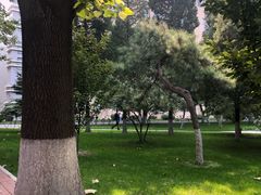 -北京邮电大学