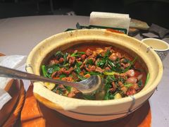 -百利鸽王(紫薇路店)