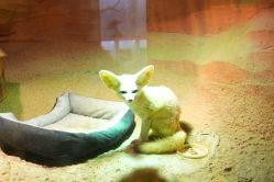 -酷嗒动物文化乐园(cutezoo西溪乐天城店)