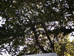 -贵阳市花溪国家城市湿地公园