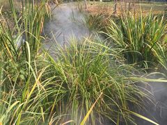 -武汉紫薇都市田园