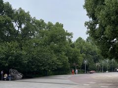 -南山植物园
