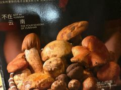-芸山季·云南野生菌火锅(宝能环球汇店)
