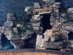 -明日世界密室轰趴·剧本桌游·箭馆团建(国贸店)