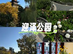 -迎泽公园