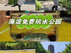-玲珑塔公园