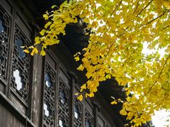 -惠山古镇·寄畅园