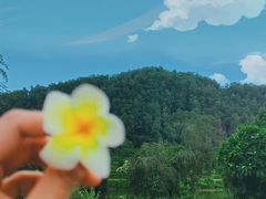 -南沙蒲洲花园
