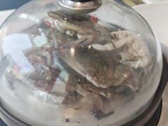 -半岛听涛蒸汽海鲜自助(K11店)