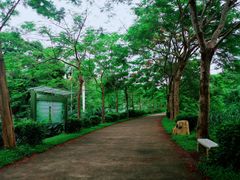 -华南国家植物园-售票处