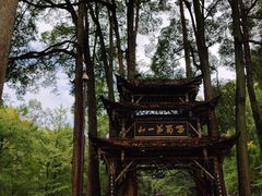-青城山