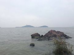 -上海市保健医疗中心