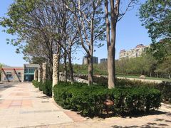 -金星公园
