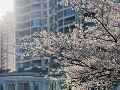 -西北湖绿化广场