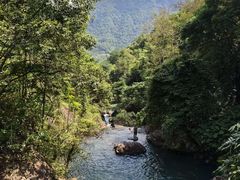 -广州市流溪河国家森林公园