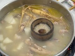 -朴小妹人参鸡汤火锅(长白山万达店)