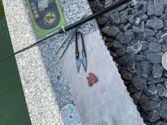 -DGE季风钓虾营地·团建·聚会