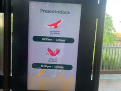 -新加坡飞禽公园