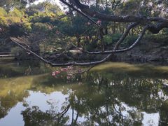 -汇龙潭