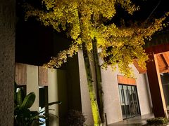 -仙海旅游度假区