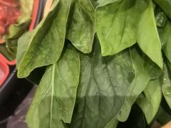 -刘一手重庆火锅(万达广场店)