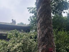 -潭柘寺景区