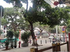 -东江海鲜酒家(艺都分店)