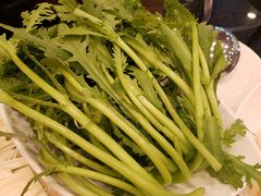 蒿子杆-蝎王府羊蝎子(西直门店)