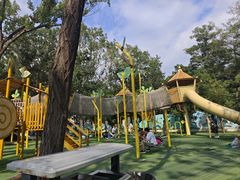 -南戴河国际娱乐中心