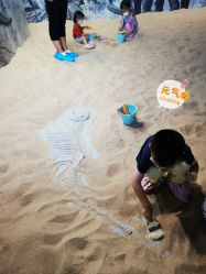 -恐龙探索乐园(磁器口店)