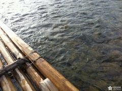 -楠溪江风景名胜区