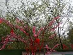 -三圣花乡旅游区