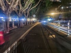 -晓港公园