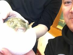 -长顺河豚馆(江洲东路)