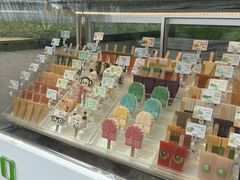 -海南清水湾莱佛士酒店