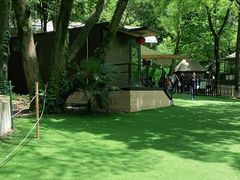 -WeLope紫金山探险公园