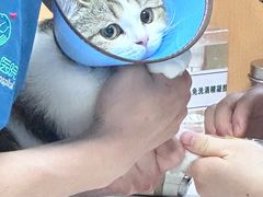 -联合动物医院(光谷诊疗中心)