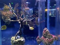 -海合安天津极地海洋公园