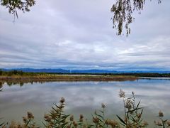 -野鸭湖国家湿地公园