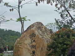 -广州白江湖森林公园