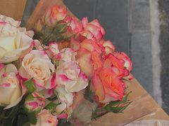 -溪岸路花鸟市场