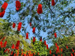 -深圳国际园林花卉博览园