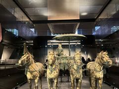 -秦始皇帝陵博物院-丽山园