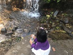 -藏龙百瀑风景区