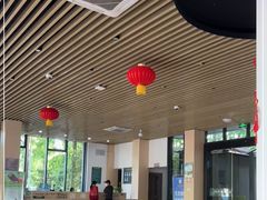 -东平国家森林公园