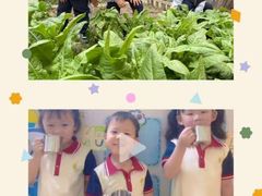 -木渎小星星幼儿园